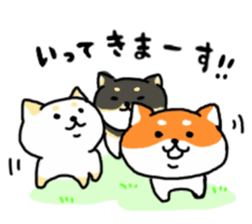 ShibaShiba sticker #1479674