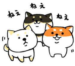 ShibaShiba sticker #1479677