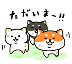 ShibaShiba sticker #1479678