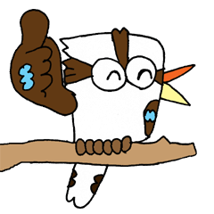 Happy bird Kookaburra 2