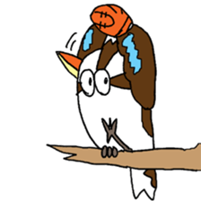 Happy bird Kookaburra 2 sticker #1480676
