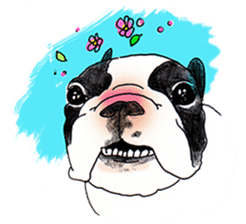 French Bulldog in the house part2 sticker #1480884
