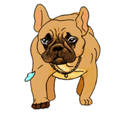 French Bulldog in the house part2 sticker #1480890