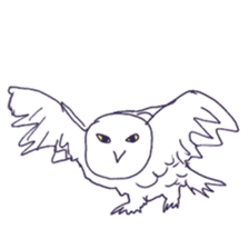 Barn Owl & Snowy Owl sticker #1481008