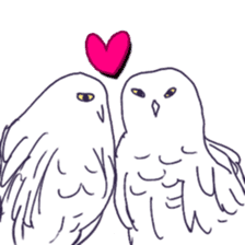 Barn Owl & Snowy Owl sticker #1481013