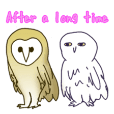Barn Owl & Snowy Owl sticker #1481014