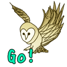 Barn Owl & Snowy Owl sticker #1481017