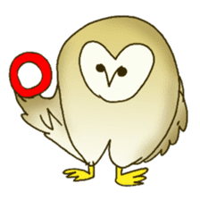 Barn Owl & Snowy Owl sticker #1481026