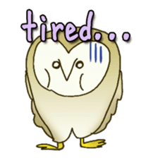 Barn Owl & Snowy Owl sticker #1481034