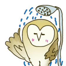 Barn Owl & Snowy Owl sticker #1481037