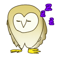 Barn Owl & Snowy Owl sticker #1481038