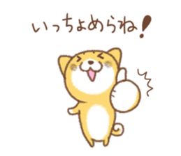 Niigata dialect (Japanese Shiba Inu) sticker #1485098