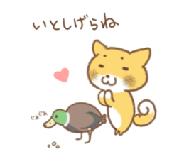 Niigata dialect (Japanese Shiba Inu) sticker #1485116