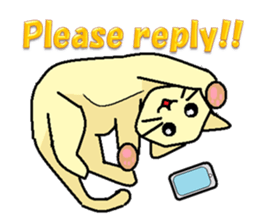 Lovely round eyes cat (English) sticker #1489322