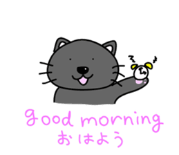 a bilingual cat Sun-chan sticker #1490720