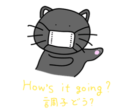 a bilingual cat Sun-chan sticker #1490725