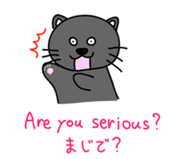 a bilingual cat Sun-chan sticker #1490747