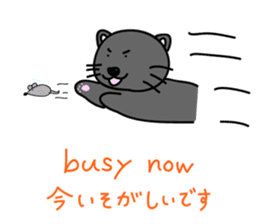 a bilingual cat Sun-chan sticker #1490750