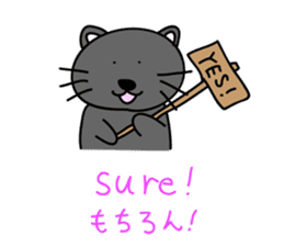 a bilingual cat Sun-chan sticker #1490753
