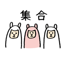 Alpacapaca sticker #1492755