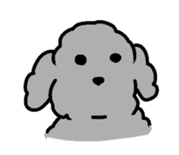 Nature of Toy Poodle sticker #1492787