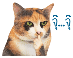 Kingdomoftigers sticker #1493952