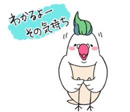 Vege-keet sticker #1496018