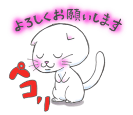 Fat Scottish Fold sticker #1496045