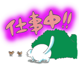 Fat Scottish Fold sticker #1496051