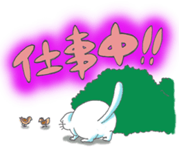 Fat Scottish Fold sticker #1496051