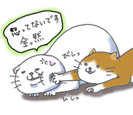Fat Scottish Fold sticker #1496072