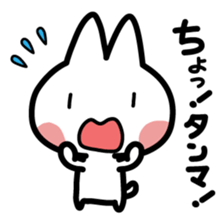 A cat is white sticker #1496902