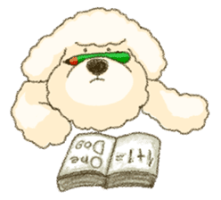 White Poodle (fixed) sticker #1501344