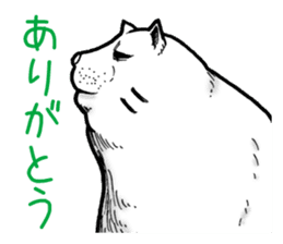 Round round cat sticker #1501603