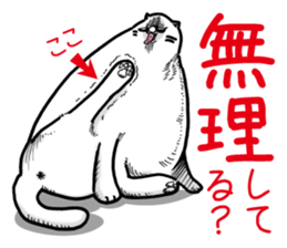 Round round cat sticker #1501612