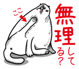 Round round cat sticker #1501612