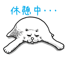 Round round cat sticker #1501623