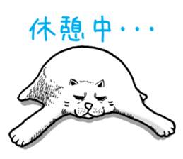 Round round cat sticker #1501623