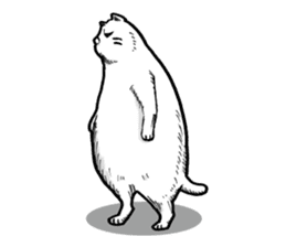 Round round cat sticker #1501633