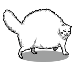 Round round cat sticker #1501637