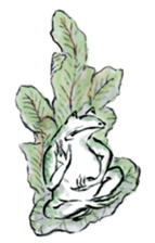 Japanese frog caricature sticker #1502045