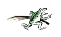 Japanese frog caricature sticker #1502061