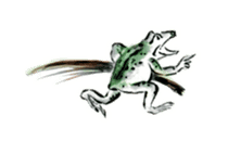 Japanese frog caricature sticker #1502061