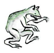 Japanese frog caricature sticker #1502068
