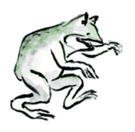 Japanese frog caricature sticker #1502068