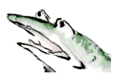 Japanese frog caricature sticker #1502074