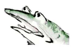 Japanese frog caricature sticker #1502074