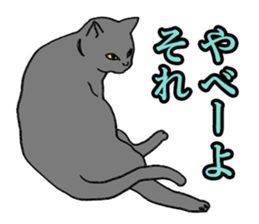 Easy Cats sticker #1504049