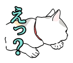 Easy Cats sticker #1504050