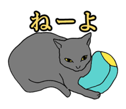 Easy Cats sticker #1504053